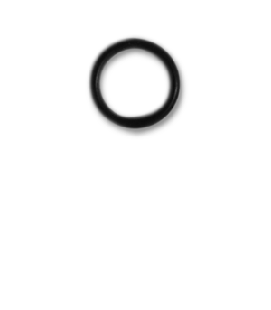 Kalrez O-ring for pressure sensor