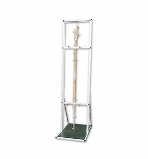 Isolation Fractional Column